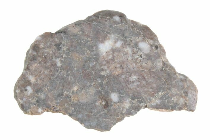 Lunar Meteorite ( g) Slice - Laayoune #381703